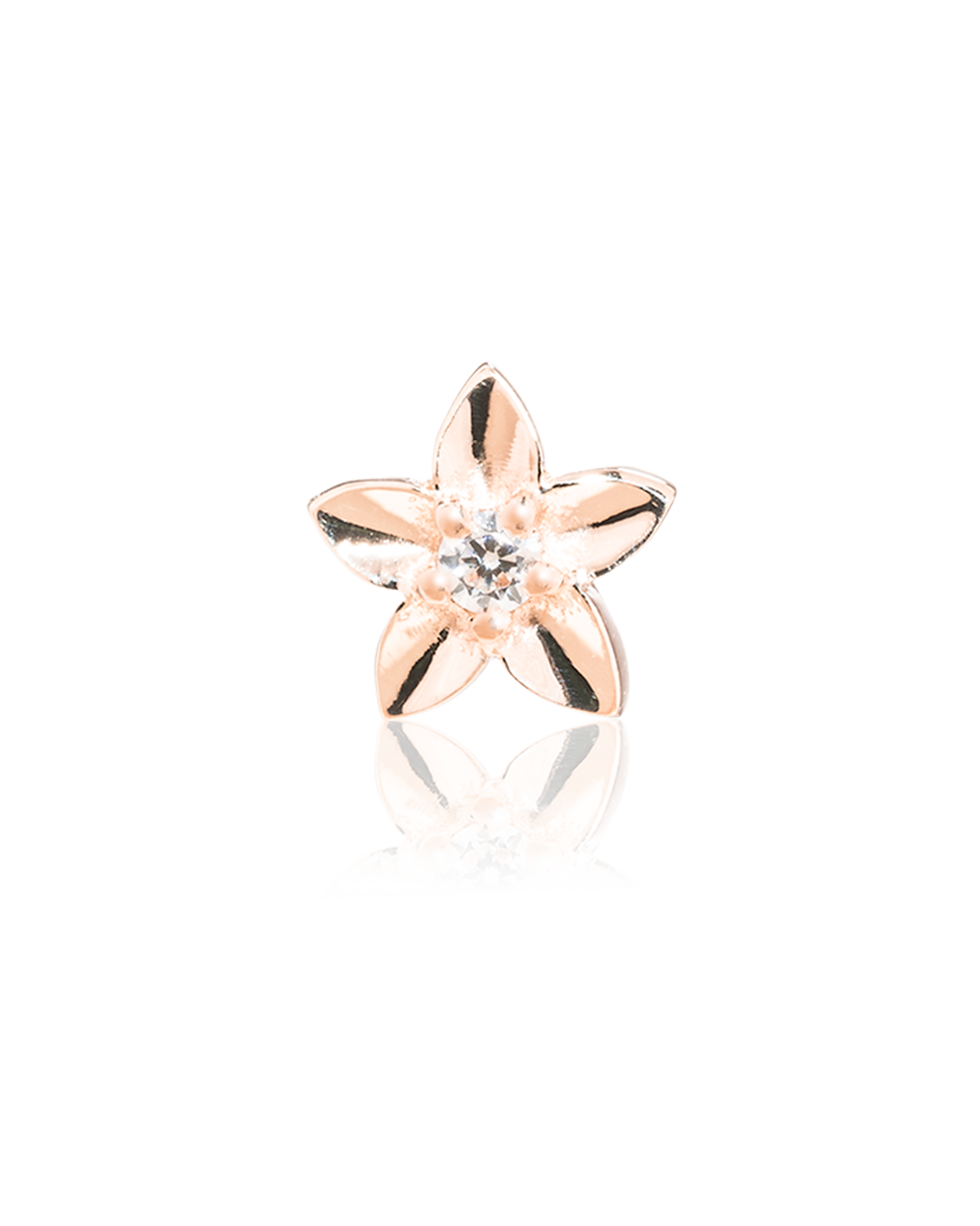 Blossom