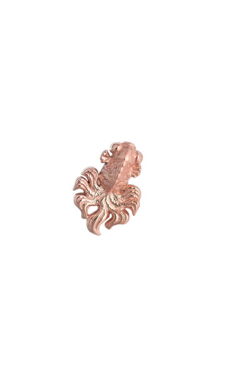 Goldfish