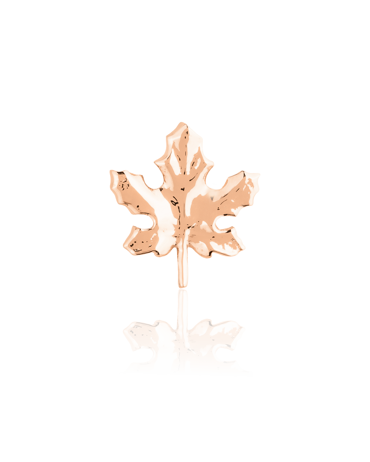 Maple Leaf