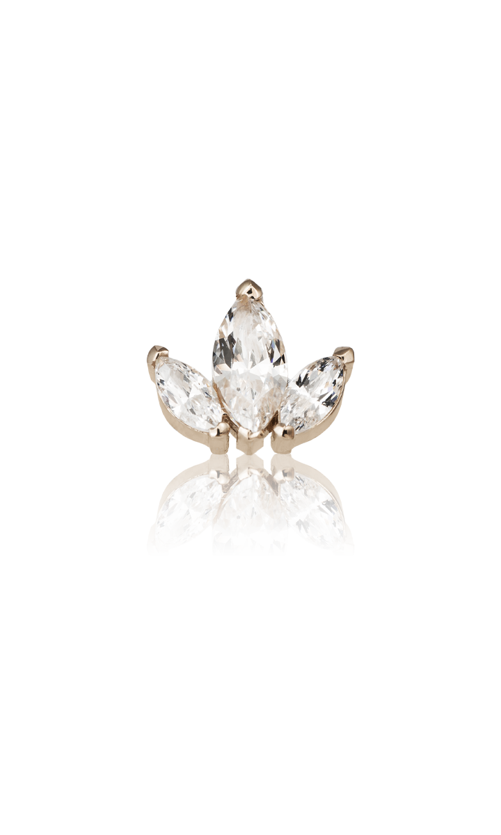 Marquise Cluster