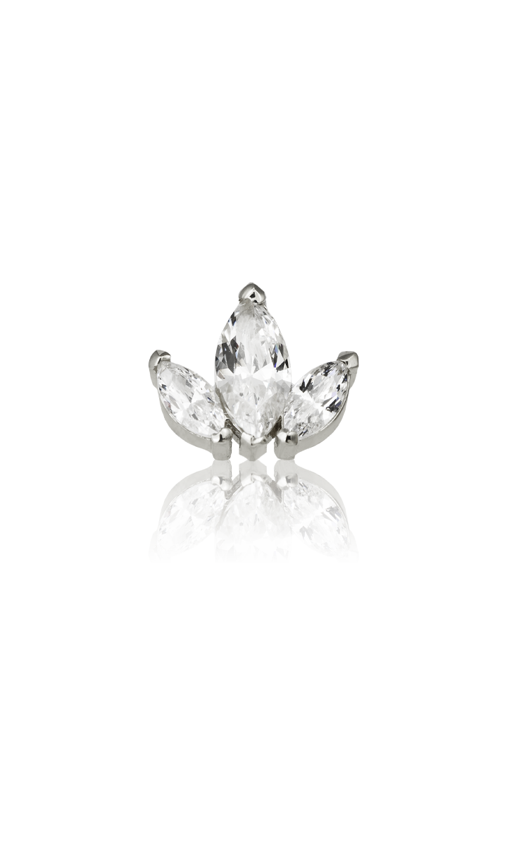 Marquise Cluster