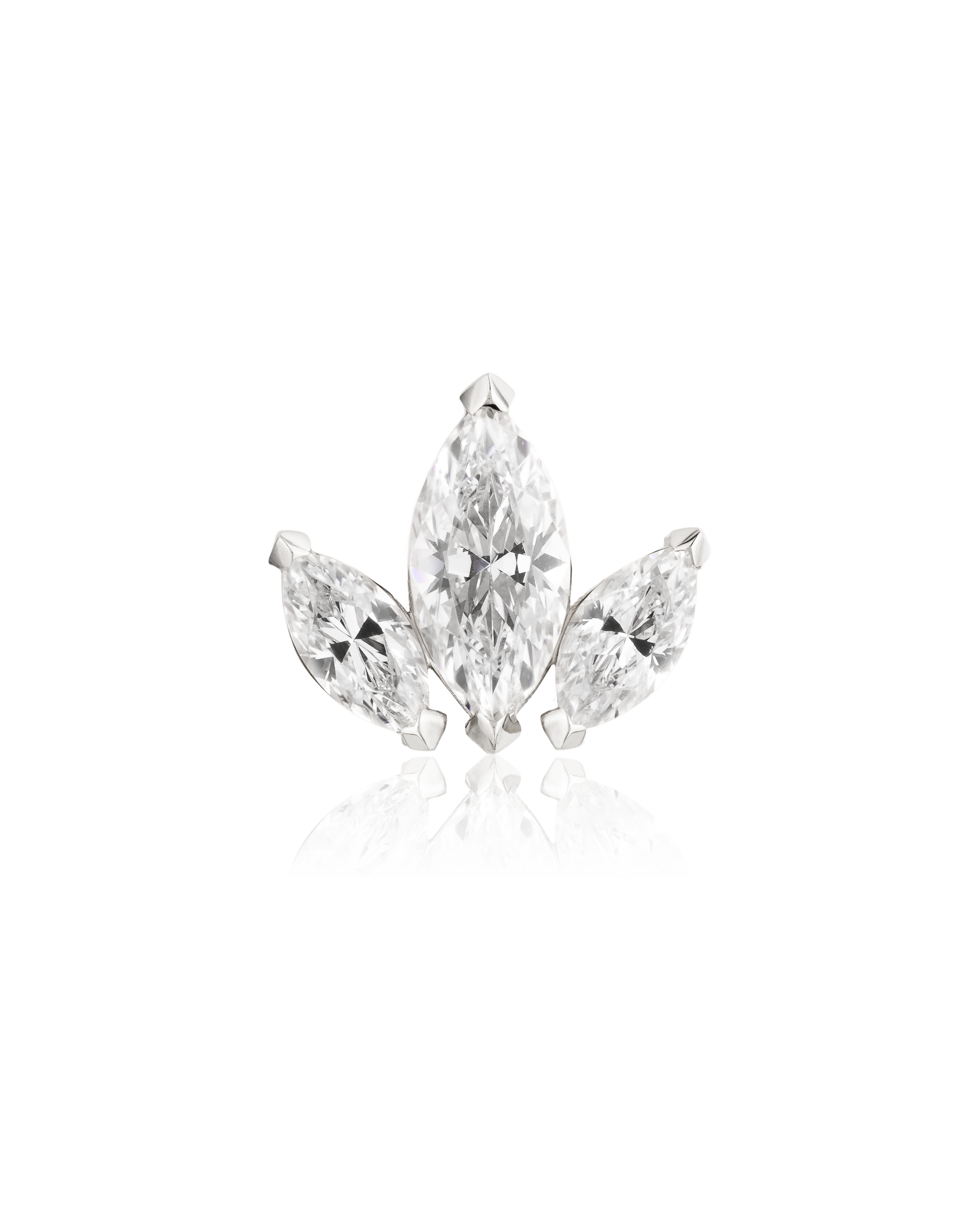 Marquise Cluster