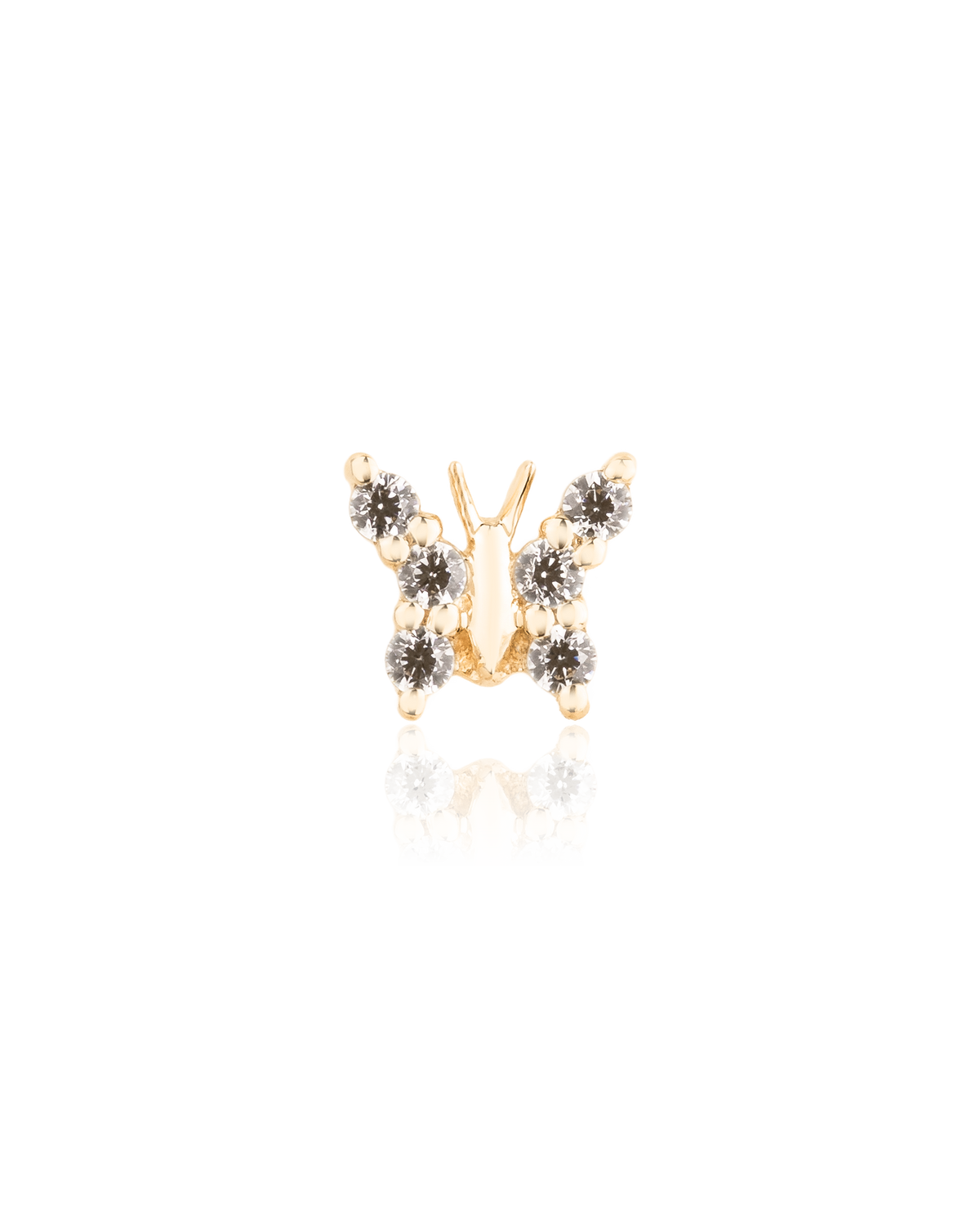Monarch