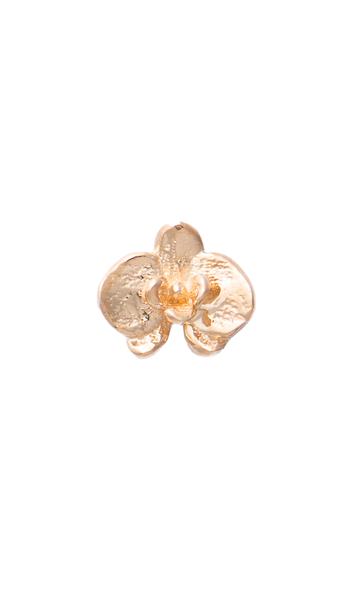 Orchid