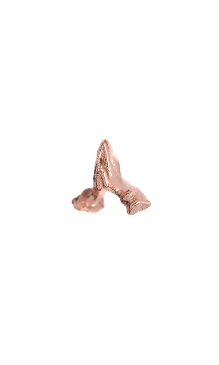Praying Hands