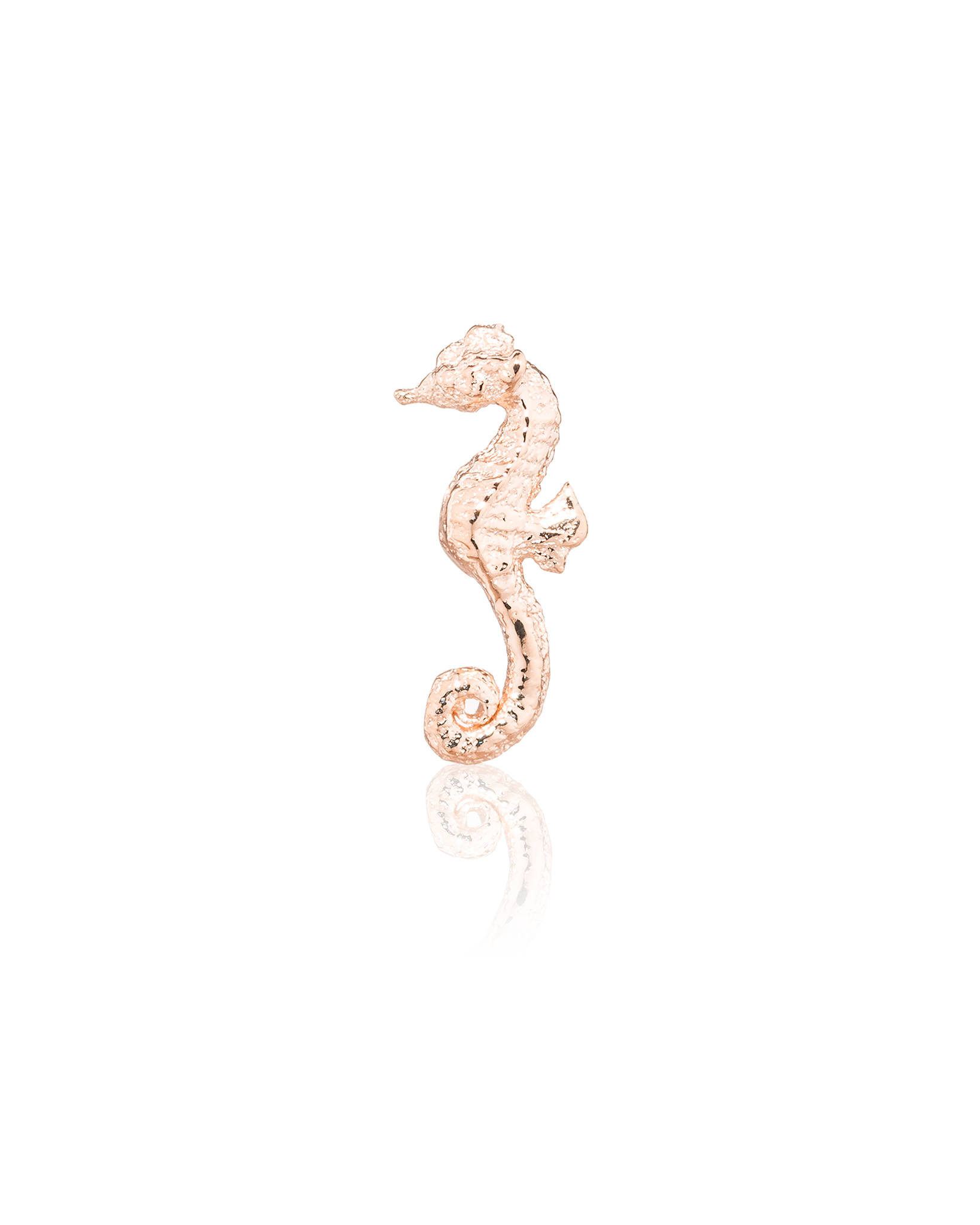 Seahorse