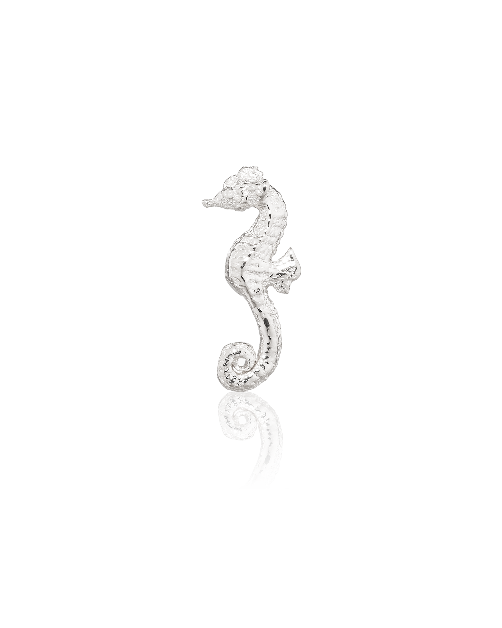 Seahorse