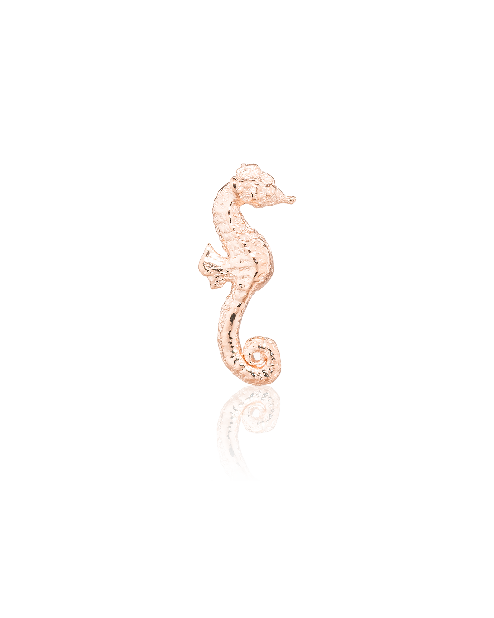 Seahorse