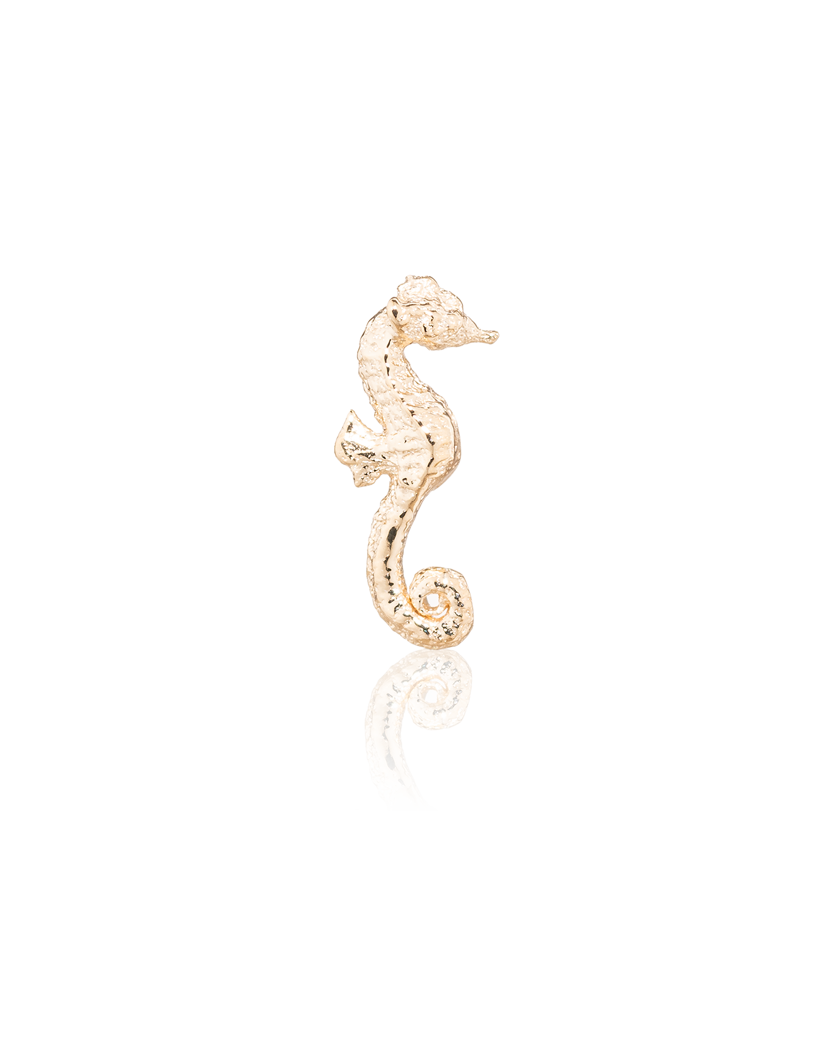 Seahorse