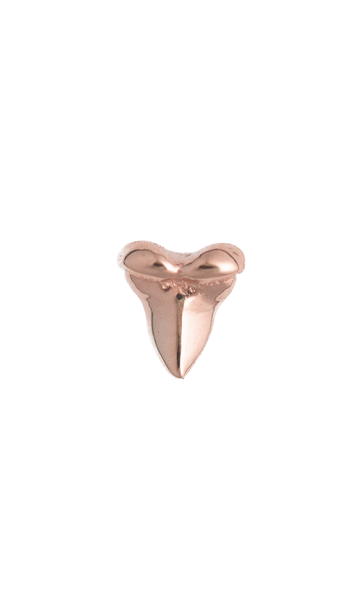 Shark Tooth