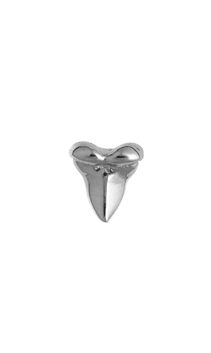 Shark Tooth
