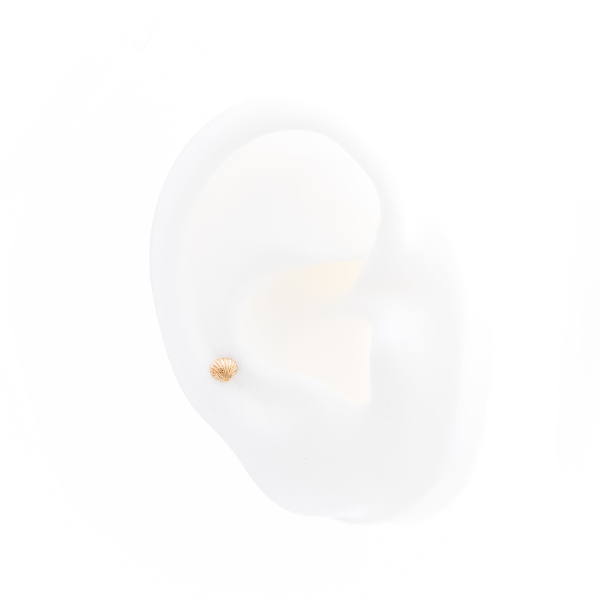 Shell