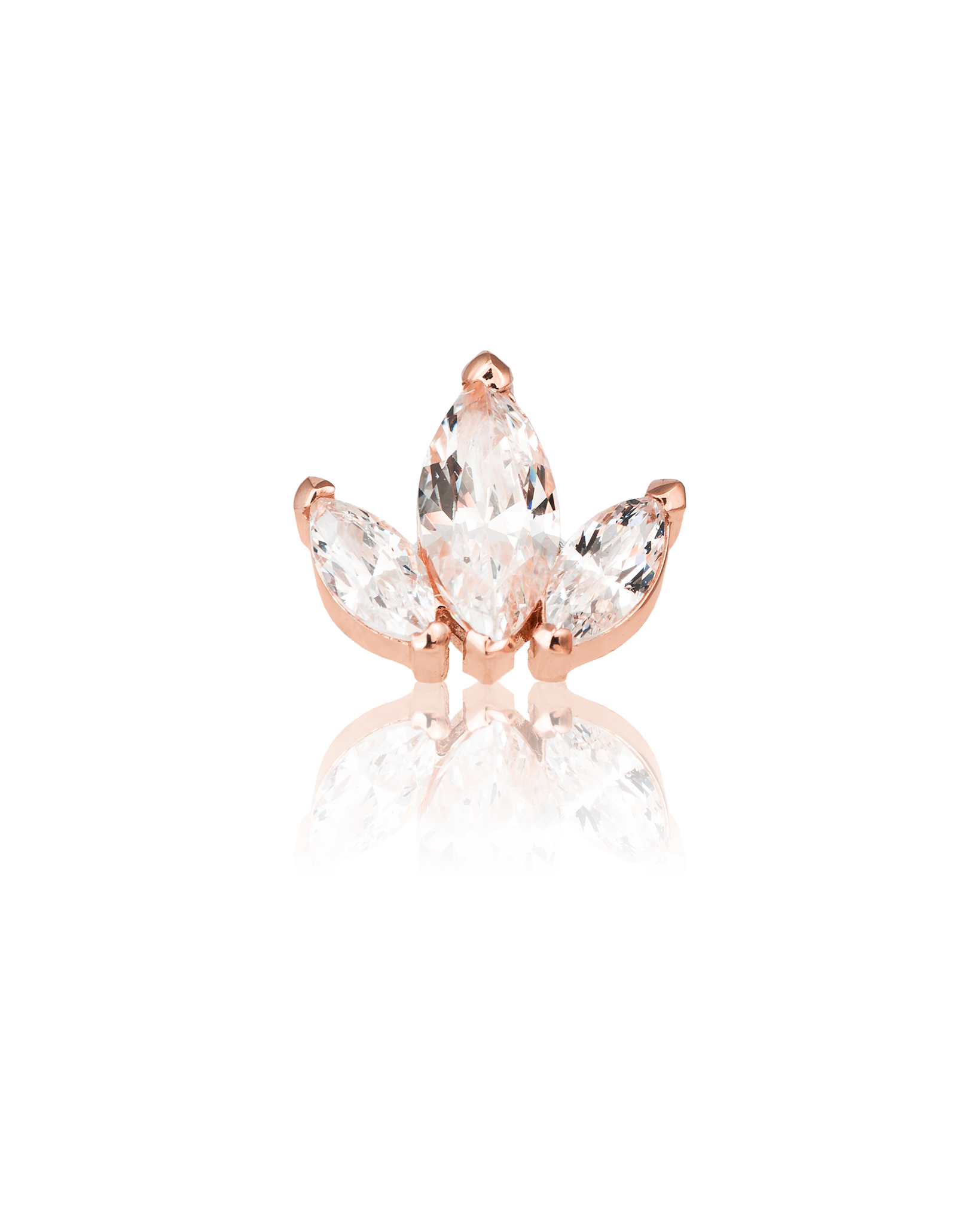 Marquise Cluster