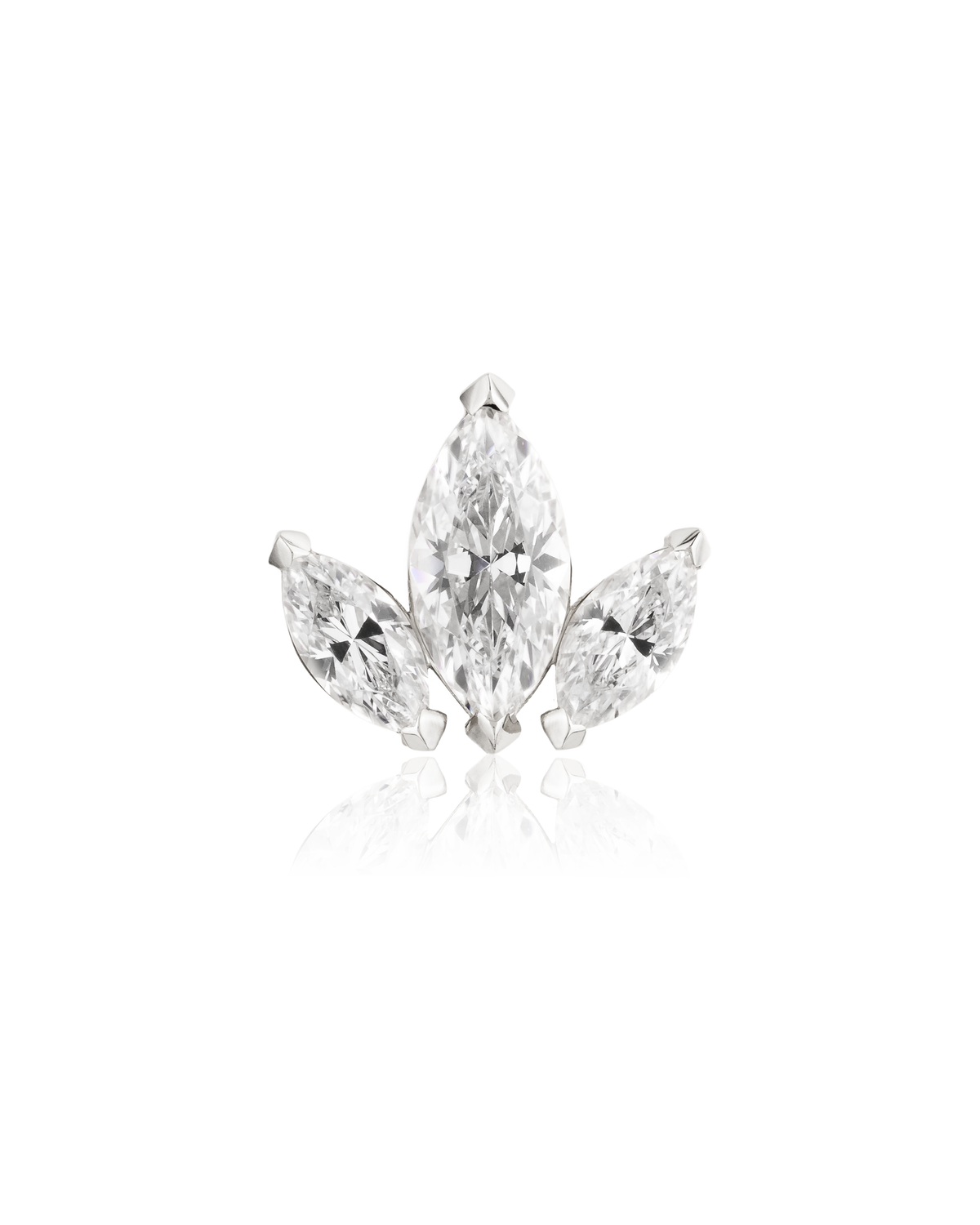 Marquise Cluster