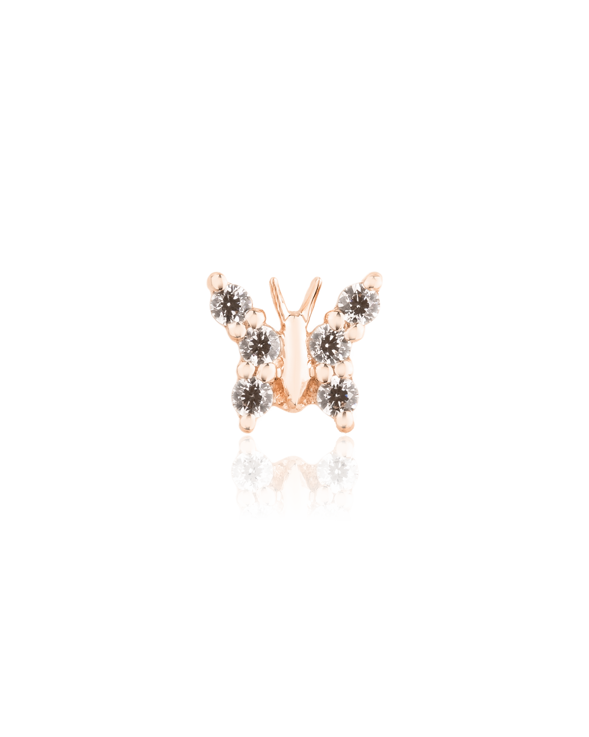 Monarch