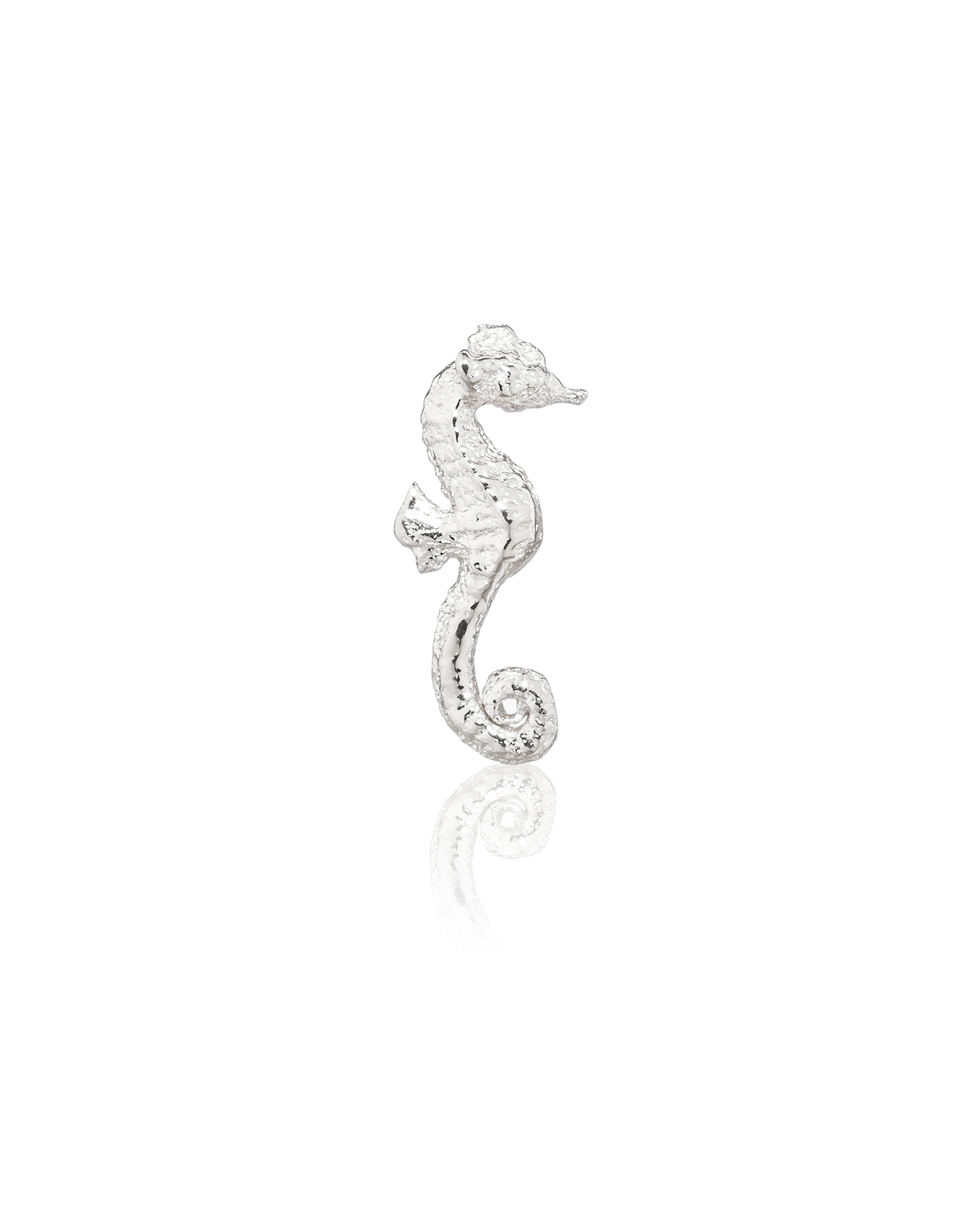 Seahorse