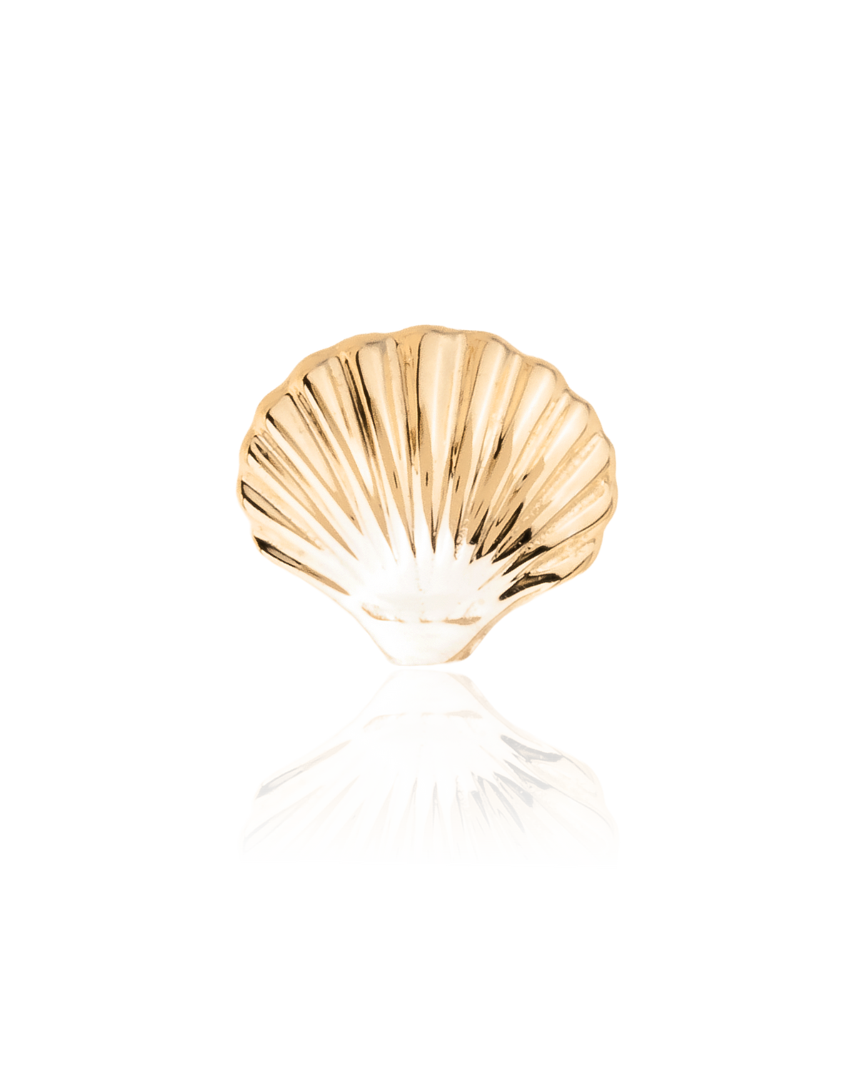 Shell